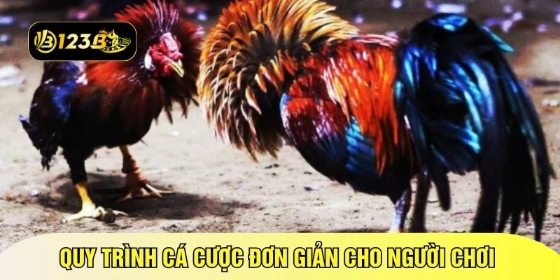 Quy trình cá cược đơn giản cho người chơi