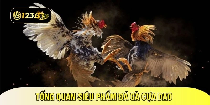 Tổng quan siêu phẩm đá gà cựa dao